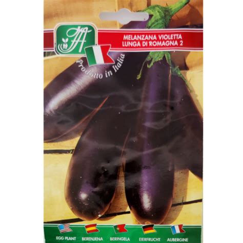 Aubergine Violetta Lunga Di Romagna 2 Solanum Melongena Kopen