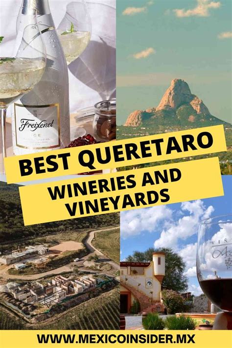 Best Wineries And Vineyards To Visit In The State Of Queretaro In