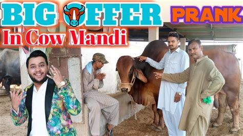 BIG OFFER Prank In Cow Mandi Cow Prank Mandi Series 4 Sameer