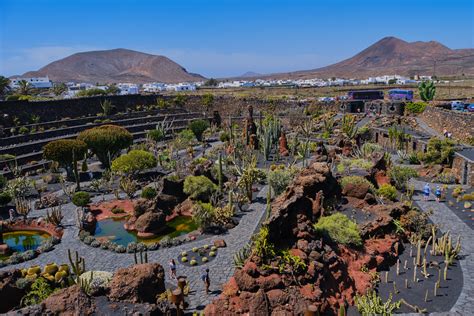 El Imponente Jard N De Cactus De C Sar Manrique En Lanzarote Cumple