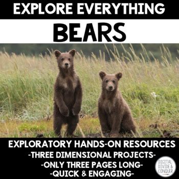 Explore Everything Bears By Digital Divide And Conquer TpT