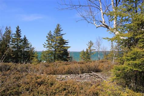 S Dix Point Rd 5 Drummond Island Mi 49726 Trulia