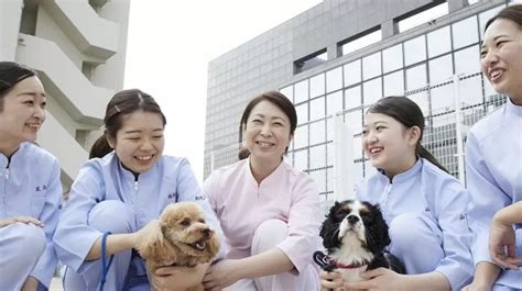 大阪ペピイ動物看護専門学校（大阪府） 専門学校ガイド