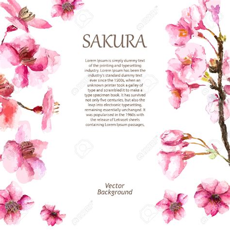 Sakura Fleur De Cerisier Du Japon Et Des Fleurs