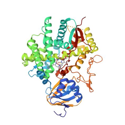 RCSB PDB - 2IAG: Crystal structure of human prostacyclin synthase