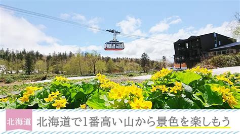 【北海道】大雪山 旭岳ロープウェイで5合目まで行こう！楽しみ方ご紹介 日本旅遊manaluluマナルル