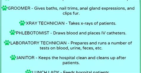 Happy Vet Tech Week Album On Imgur