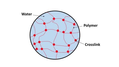 Can Biodegradable Hydrogels Help Conserve Water In Farming Science