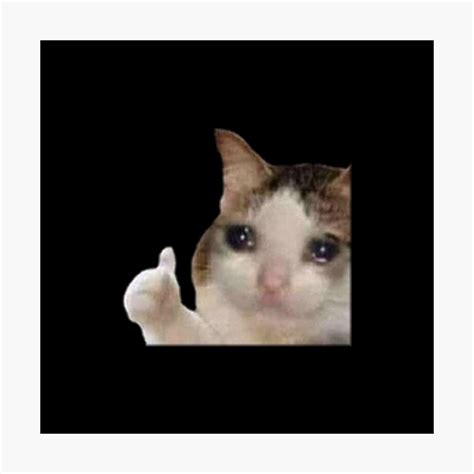 Crying Cat Thumbs Up Meme Transparent Filipff