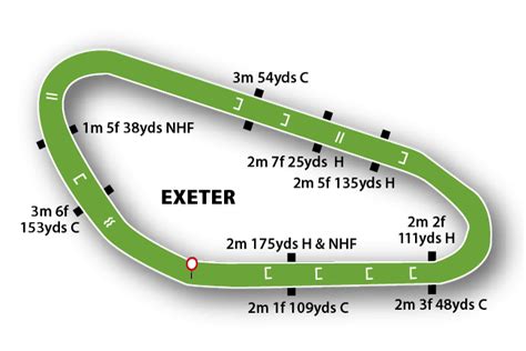 Exeter Racecourse: Horse Racing Tips