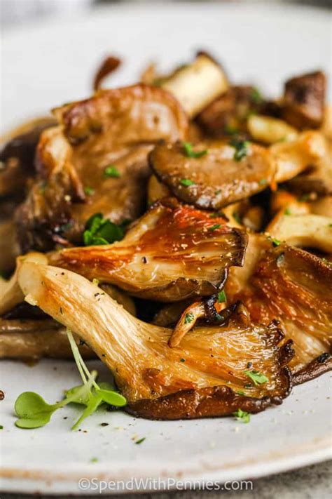 Oyster Mushroom Recipe