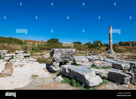 Temple Of Artemis Ruin Around Ephesus Ancient City Selcuk Izmir