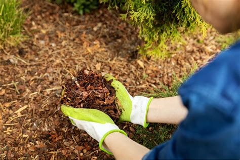 Mulching Benefits Sigma Earth