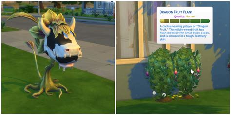 The Sims 4: How To Graft Plants