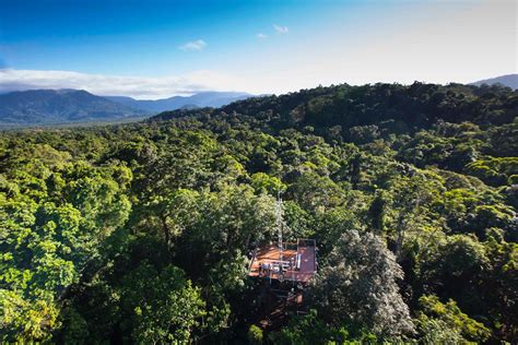 Daintree Discovery Centre Cairns And Great Barrier Reef