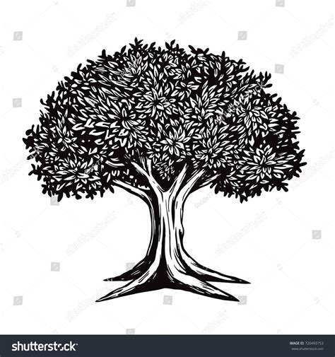 1,195 Mango Tree Drawing Images, Stock Photos & Vectors | Shutterstock