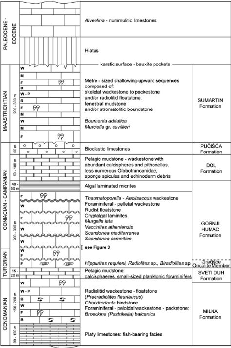 Generalized Lithostratigraphic Column Of The Upper Cretaceous