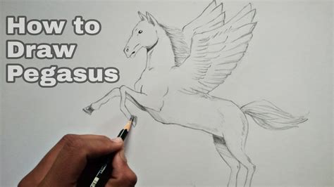 How To Draw Pegasus Youtube