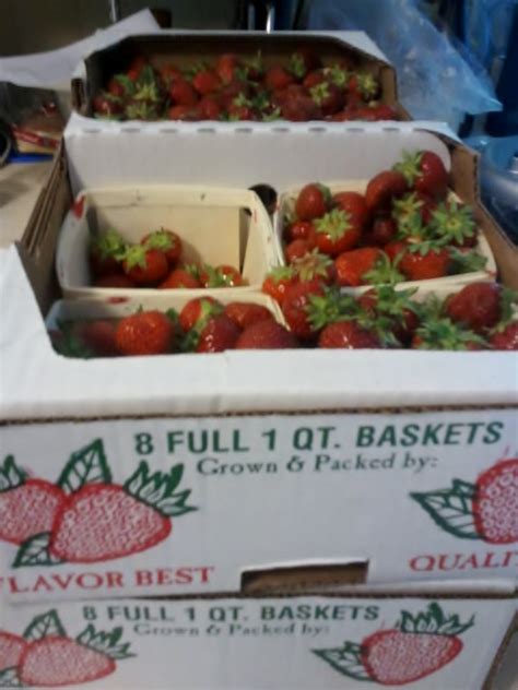 Strawberry Freezer Jam Wholistic Woman