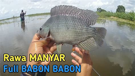 Spot Mancing Legendaris Lamongan Ikannya BABON BABON YouTube