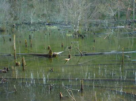 Terre Océan participe à linauguration des Espaces Naturels Sensibles