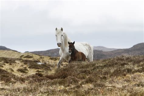 Lochboisdale Visitor Guide - Accommodation, Things To Do & More ...