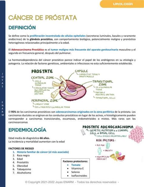 Cáncer De Próstata Victor Sutta Serrano Udocz