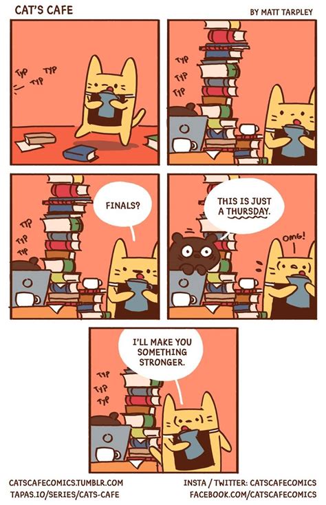 My Wholesome Cats Caf Comics That Will Make Your Day Laptrinhx