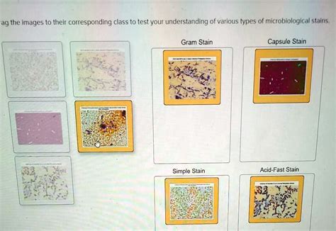 Solved Assign The Images To Their Corresponding Class To Test Your