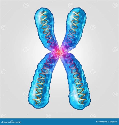 Chromosom Genetische Dna Stock Abbildung Illustration Von Medizinisch