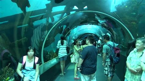 Sea Aquarium Resorts World Sentosa Singapore Youtube