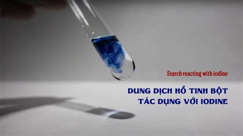 Hồ Tinh Bột và I2 PTHH Hiểu Biết Cơ Bản và Ứng Dụng Đột Phá