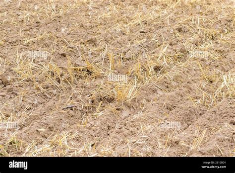 Tillage Hi Res Stock Photography And Images Alamy