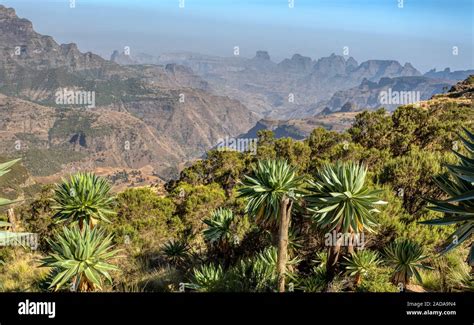 Semien mountains national park hi-res stock photography and images - Alamy