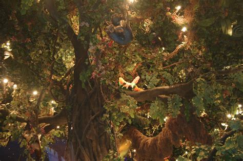 Rainforest Cafe Princess Pictures Wiki Fandom