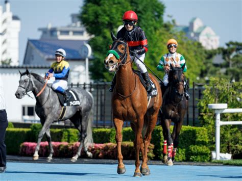 【次走】ホウオウピースフルは引き続き丸田騎手とのコンビでクイーンsへ 兄は有馬記念馬ブラストワンピース 競馬ニュース Netkeiba