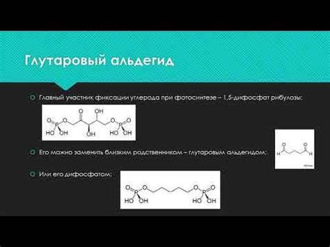 Про водоросли и глутаровый альдегид - YouTube