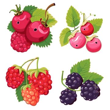 Berries Clipart Berry Fruit Set Of Four Cartoon Illustrations Vector