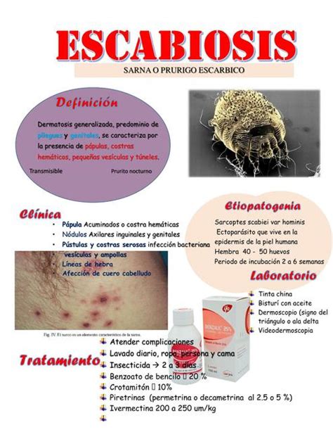 Escabiosis Medicina Eli Udocz