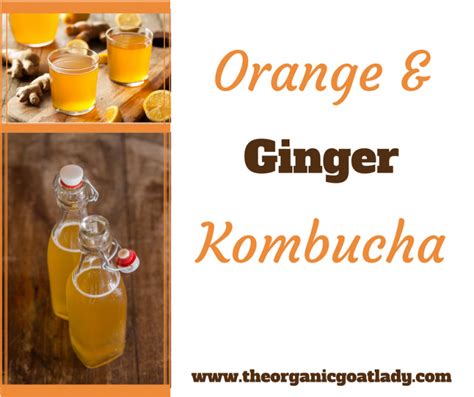 5 Fall Kombucha Flavors The Organic Goat Lady