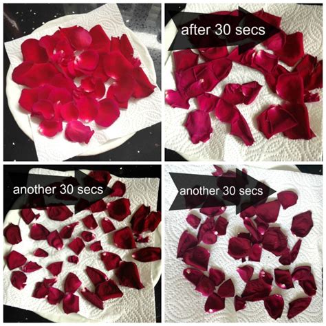 How To Dry Rose Petals For Pot Pourri Sum Of Their Stories Craft Blog