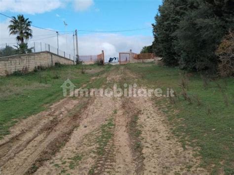 Terreno Non Edificabile Via Luigi Einaudi San C Grammichele Rif