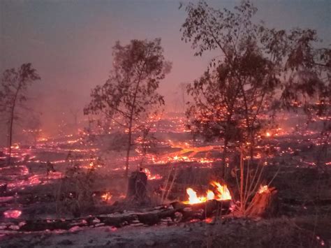 SEMADET Jalisco On Twitter Se Suman Al Combate Elementos De La