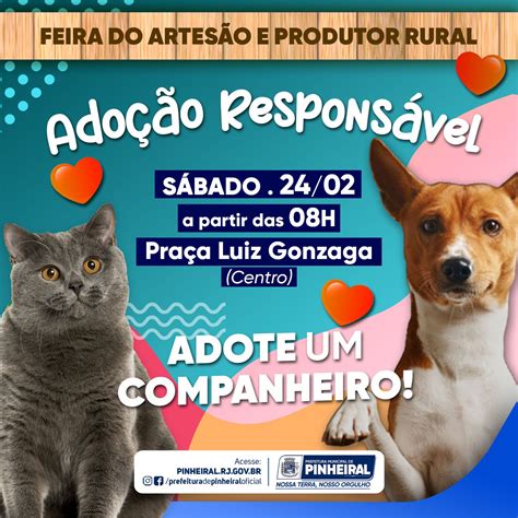 Prefeitura de Pinheiral promove mais uma campanha de adoção de animais