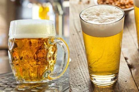 What Is The Difference Between Pilsner VS. Lager?