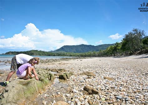 pebbly beach visit port douglas daintree