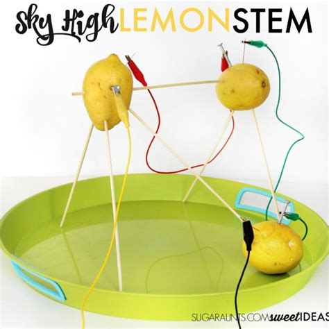 Lemon Stem Science Ideas Stem Science Science Experiments Kids