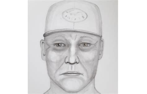 Sketch Of Calgary Sex Assault Suspect Released Livewire Calgary