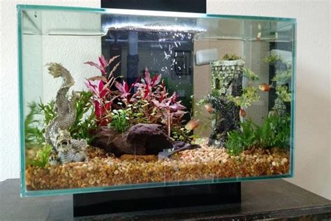 The Selection And Placement Requirements Of Aquarium Rock Decor