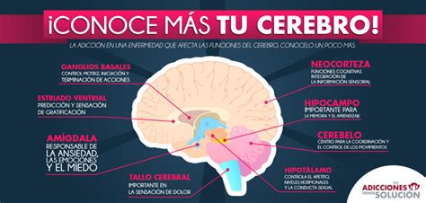 Conoce M S A Tu Cerebro Las Adicciones Tienen Soluci N